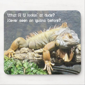 Cool Iguana Mouse Pad