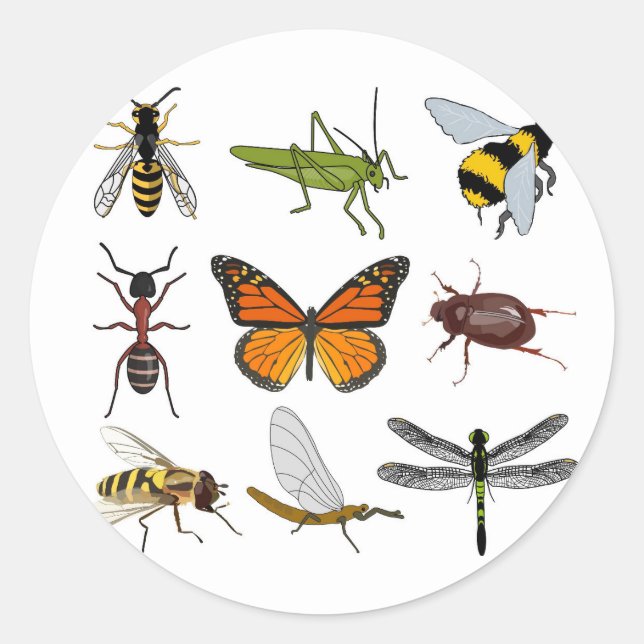 Cool Insect Round Sticker (Front)