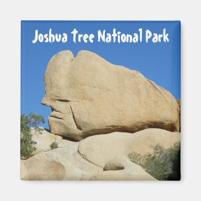 Cool Joshua Tree Park Magnet! Magnet (Front)