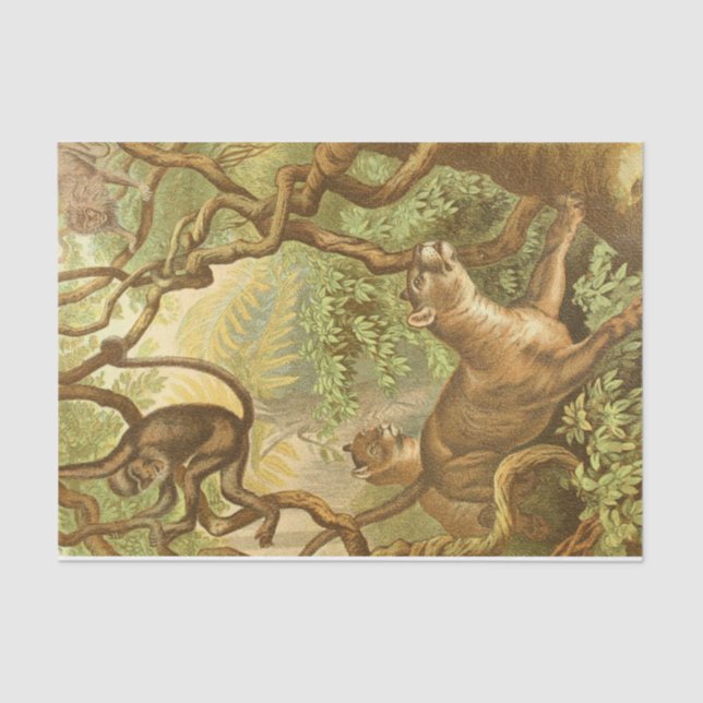 cool Jungle animals decoupage craft lovers Tissue Paper (Front)