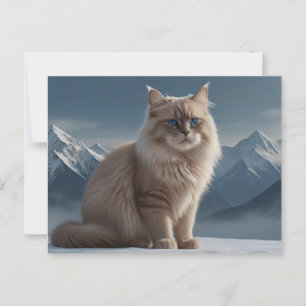 Cool Kitty Postcard