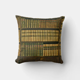 Cool librarian gift cushion
