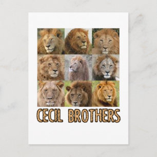 cool Lion designs Postcard
