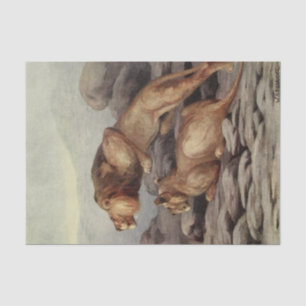 cool lion lovers decoupage crafting lovers tissue paper