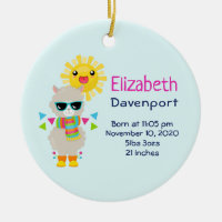 Cool Llama and Smiling Kawaii Sun