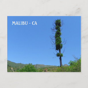 Cool Malibu Postcard! Postcard