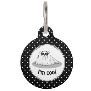 Cool Maltese Dog with Sunglasses - Cute Pet Tag