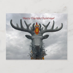 Cool Merry Chicken Christmas Postcard! Holiday Postcard