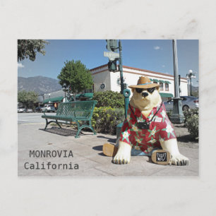 Cool Monrovia Postcard! Postcard