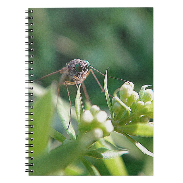 Cool mosquito notebook (Front)