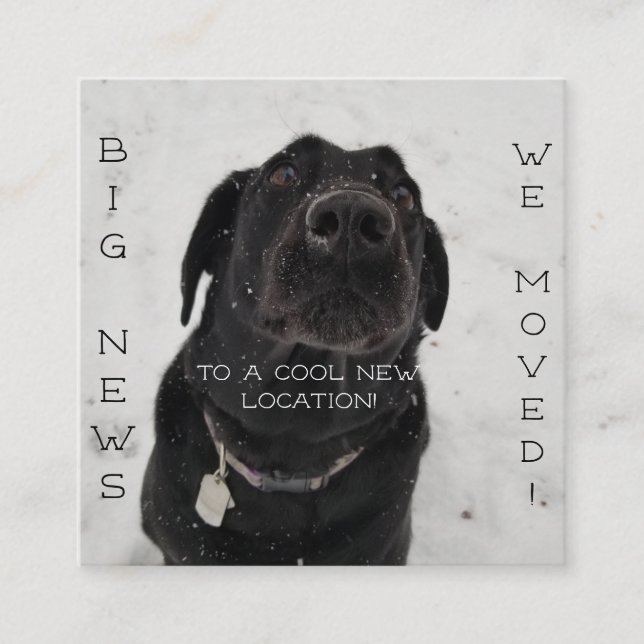 Cool New Location! Postcard (Front)