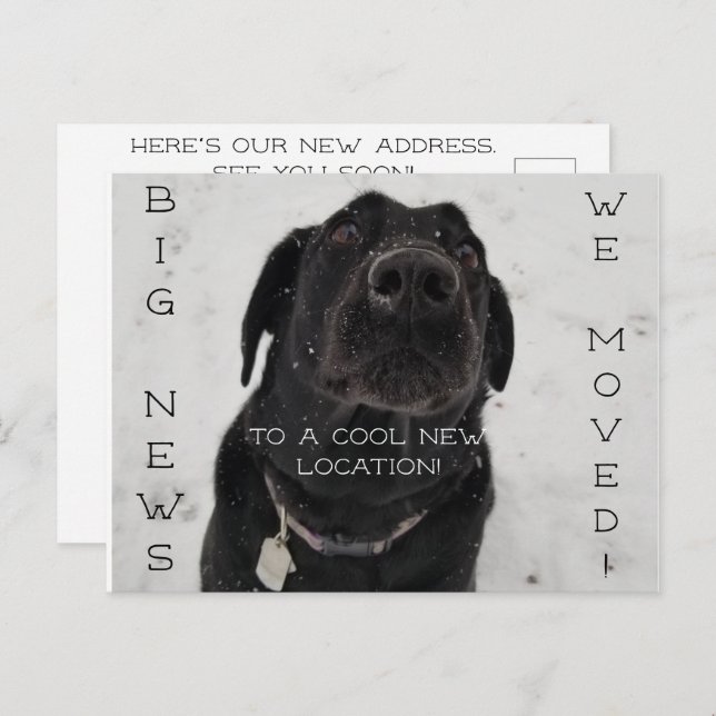 Cool New Location! Postcard (Front/Back)