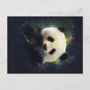 Cool Panda Bamboo Bear Clolorful Gift Announcement Postcard