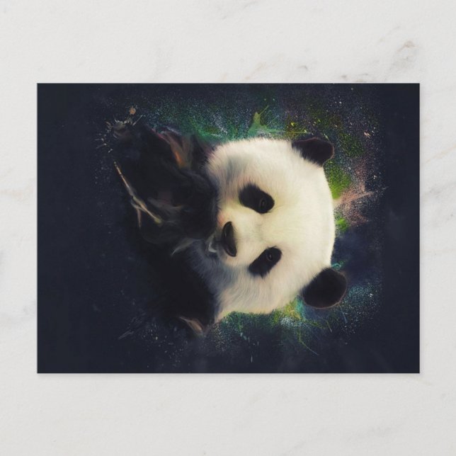 Cool Panda | Bamboo Bear | Clolorful Gift Announcement Postcard (Front)
