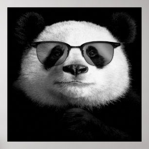 Cool Panda Poster     Cute Panda Lover