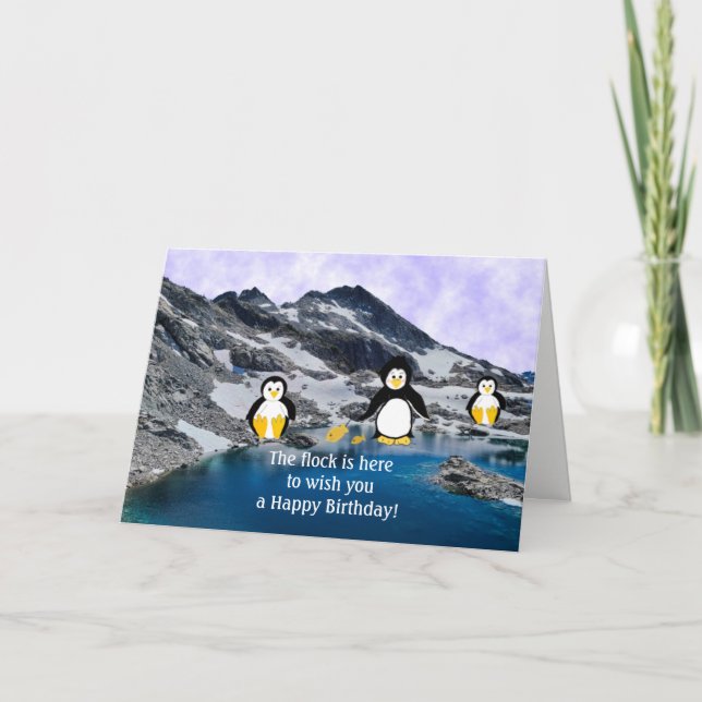 Cool Penguins Birthday Card (Front)