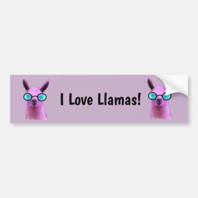 Cool Pink Llama! Bumper Sticker (Front)