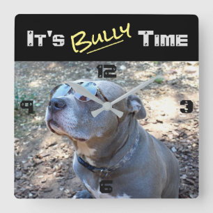 Cool Pitbull Bully Time Wall Clock