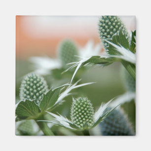 Cool Plant Magnet