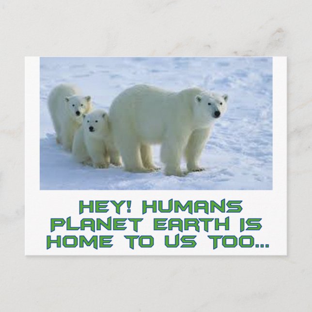 cool polar bear designs postcard (Front)