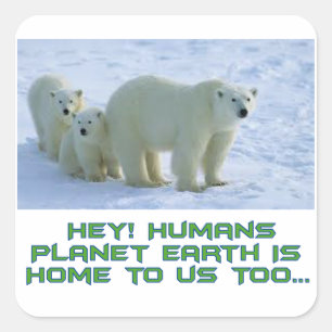 cool polar bear designs square sticker
