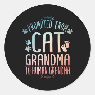 Cool Promoted To Grandma For Mum New Grandmother C Classic Round Sticker