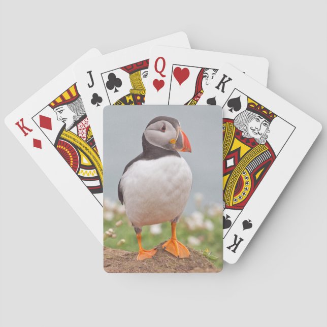 Cool Puffin Playing Cards (Back)