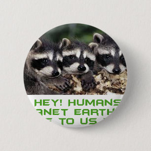cool racoon designs 6 cm round badge
