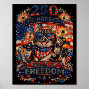 Cool Retro Cat 250 Years Patriotic American Poster