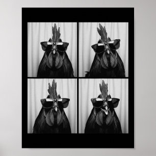 Cool Rooster Wearing Sungles Funny Photobooth Chic Poster