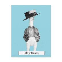 Cool Rubber Chicken Postcard