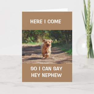 *COOL RUNNING DOG** SAYS HAPPY BIRTHDAY NEPHEW CARD