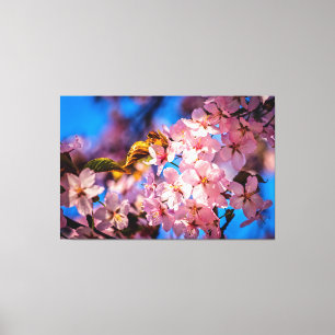 Cool Sakura Garland Canvas Print
