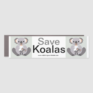 Cool Save KOALAS -- car magnet