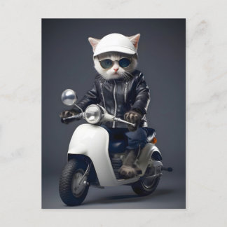 Cool Scooter Kitty Congratulations Postcard