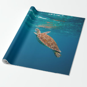 Cool Sea Animals Wrapping Paper