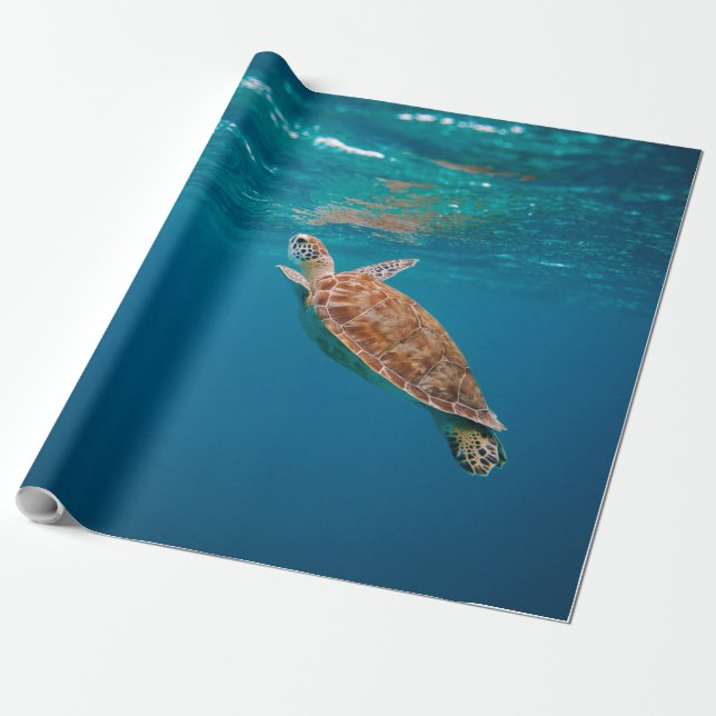 Cool Sea Animals Wrapping Paper (Unrolled)