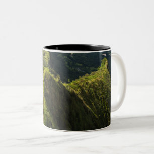 Cool Sea Creatures Two-Tone Coffee Mug