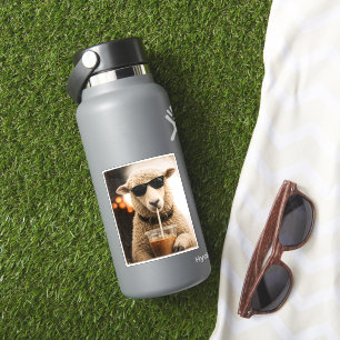 Cool Sheep Drinking Iced Coffee