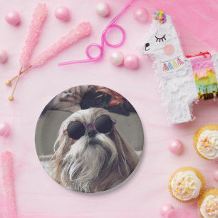 Cool Shih Tzu long hair vintage Sunglasses Photo Paper Plate