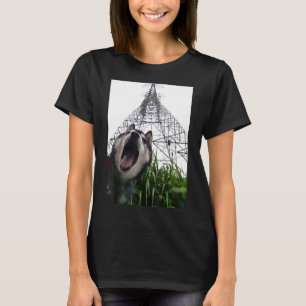 Cool Siberian Husky  For Men Women Boys & Girls T-Shirt