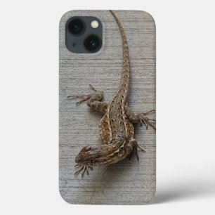 Cool Sidewalk Lizard  iPhone 13 Case