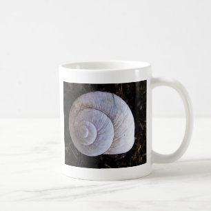 Cool snailshell coffee mug