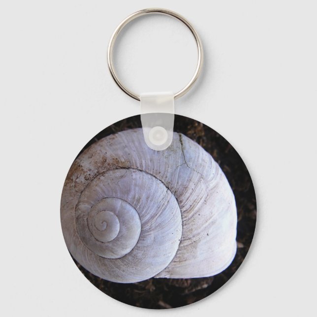 Cool snailshell key ring (Front)