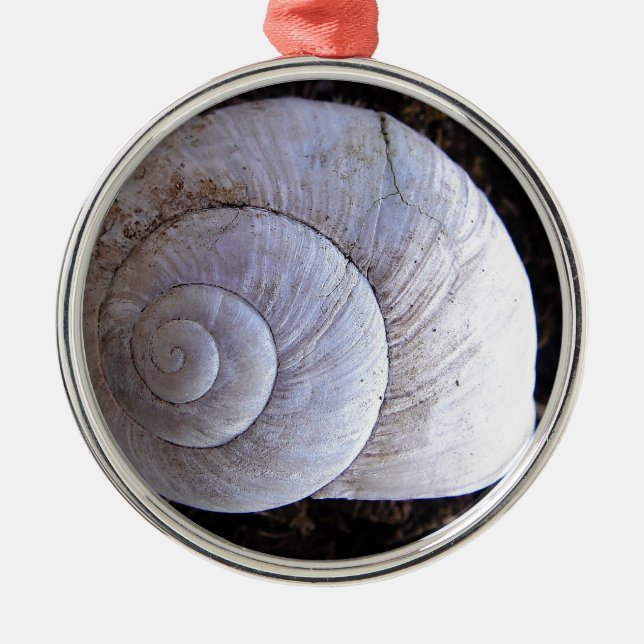 Cool snailshell metal ornament (Front)