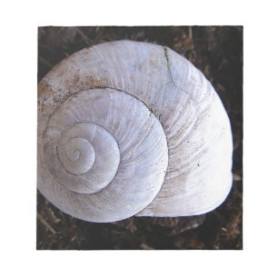 Cool snailshell notepad