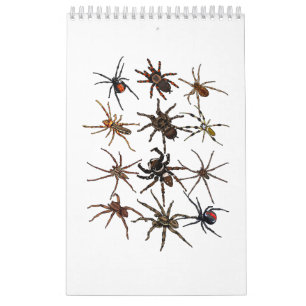 Cool Spider For Men Women Arachnid Spooky Scary Ha Calendar