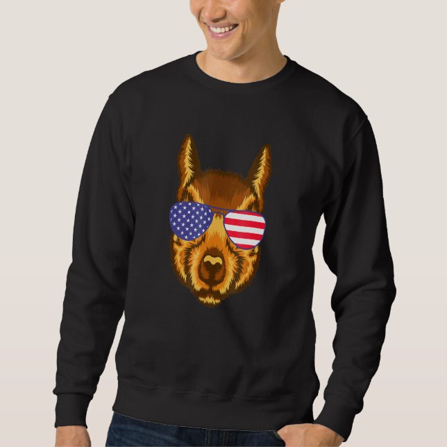 Cool Squirrel Wearing Usa Flag Sunglasses Us Ameri Sweatshirt (Front)