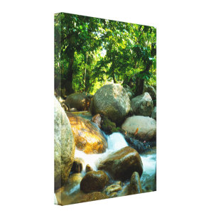 Jungle Canvas Prints & Wall Art | Zazzle.com.au