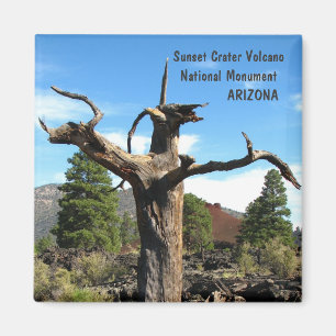 Cool Sunset Crater Volcano Magnet! Magnet